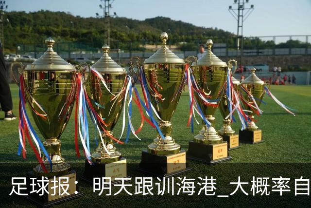 足球报：明天跟训海港 大概率自由身加盟 外援要补强